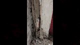 العقار المائل في الإسكندرية (2)_1