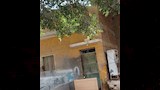 بني مزار