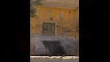 بني مزار