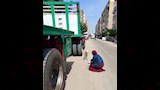 الطب البيطري (16)