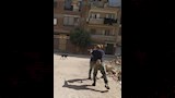 الطب البيطري (17)