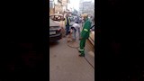 الطب البيطري (19)