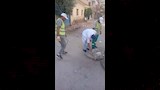 الطب البيطري (18)