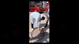 الطب البيطري (20)
