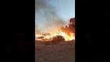 السيطرة على حريق بأراضٍ زراعية في الفيوم