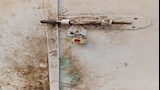 غلق وتشميع مطعم بالإسكندرية 