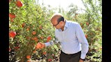 محافظ أسيوط يتفقد حصاد الذهب الأحمر بقرية بويط (19)