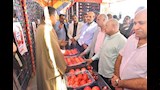 محافظ أسيوط يتفقد حصاد الذهب الأحمر بقرية بويط (23)