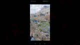  رحلة موت يومية تهدد تلاميذ الصفاصيف بالبحيرة (10)