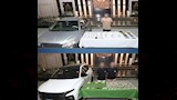المتهمين + المضبوطات 