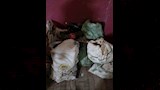 ضبط أكثر من 7 آلاف زجاجة مياه معدنية مجهولة المصدر