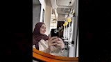 حلا شيحة