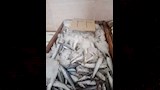 موزه 