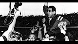 محمود الجوهري 