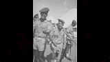 محمود الجوهري