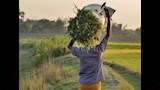 السنة عندهم 6 فصول.. لماذا تختلف هذه الدولة عن العالم؟