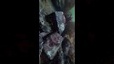 أحدث كشف أثري بالإسكندرية (4)
