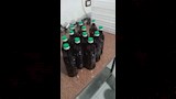الضبطية 