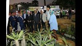 محافظ القاهرة يتفقد معرض الزهور الدولي بحديقة الحرية في الزمالك (6)