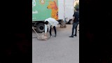 حملات مكبرة لمواجهة الكلاب الضالة (4)