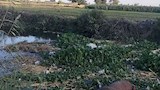 كارثة بيئية تهدد أهالي الدلنجات بسبب حيوانات نافقة ومخلفات في ترعة أبو دياب