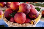 مريض سكري؟ انتبه قبل تناول الخوخ بهذه الطريقة 