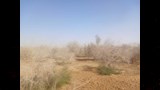 تحلية بالطاقة الشمسية وآبار جديدة لإحياء زراعات دير الأنبا موسى (3)