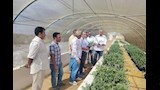متابعة الزراعات