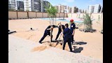 التنمية المحلية والبيئة تزرع 150 شجرة بمدرسة الكرنك في بدر (4)