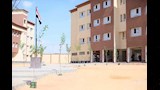 التنمية المحلية والبيئة تزرع 150 شجرة بمدرسة الكرنك في بدر (3)