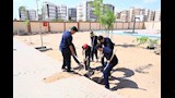 وزيرة التنمية المحلية توجه بزراعة 150 شجرة متنوعة بمدرسة الكرنك في بدر