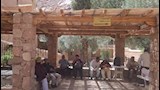 اقبال سياحي 