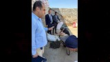 ضبط مصنع للفلفل الأسود المغشوش (4)