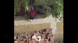 صور لهروب التلاميذ