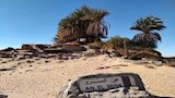 عين السرو..__7