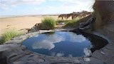 عين السرو 1_6