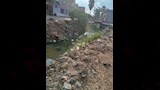 صورة للترعة