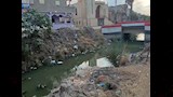 جانب اخر من الترعة