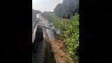 زراعة 4550 شجرة بأبو النمرس (3)