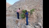 جمع بذور بعض الموارد الوراثية النباتية