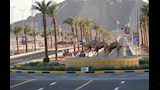 مضمار شرم الشيخ الدولي