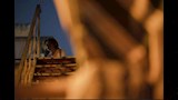 تفاصيل عرض فيلم بومة في الدورة التاسعة من مهرجان الجونة السينمائي