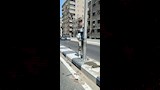 حملات نظافة بالجيزة (3)