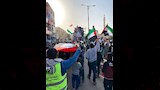 الأعلام الفلسطينية حاضرة_1