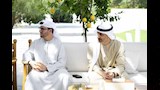 الرئيس الإماراتي يستقبل السيناتور الأمريكي ليندسي جراهام (2)