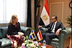 مصر والسويد تعززان التعاون الصحي ودعم قطاع غزة