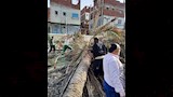 سقوط نخلة على القضبان في الإسكندرية (4)
