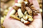 مكسرات رمضان- 3 أنواع مفيدة لعلاج دهون الكبد