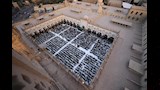 الإفطار الجماعي بالجامع الأزهر 
