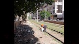 إزالة القمامة من حرم ترام الإسكندرية (1)